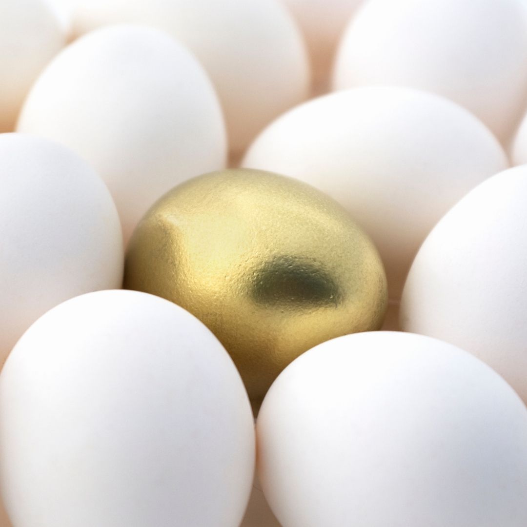 golden egg surrounded by white eggs